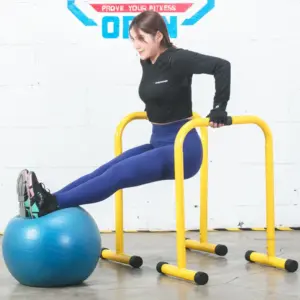 Exercise Workout Rack Stands Parallel Bars Equalizer