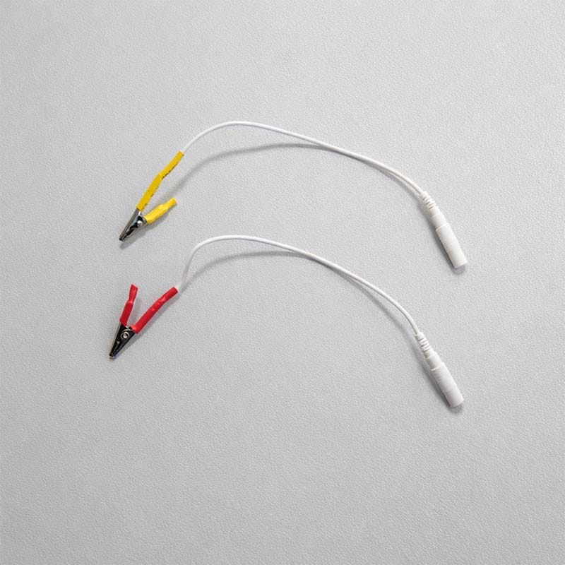 Premium Acupuncture Crocodile Aligator 2Pcs